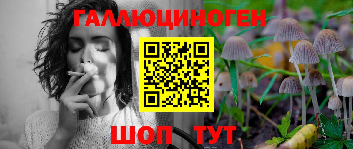 Димитровград  Галлюциногенные грибы Cubensis  Вход с VPN 